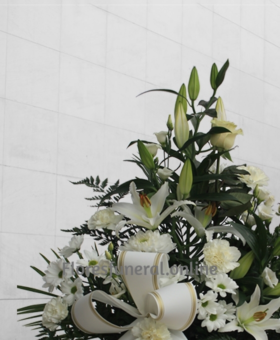 Alternative view of Centro Funerario Blanco