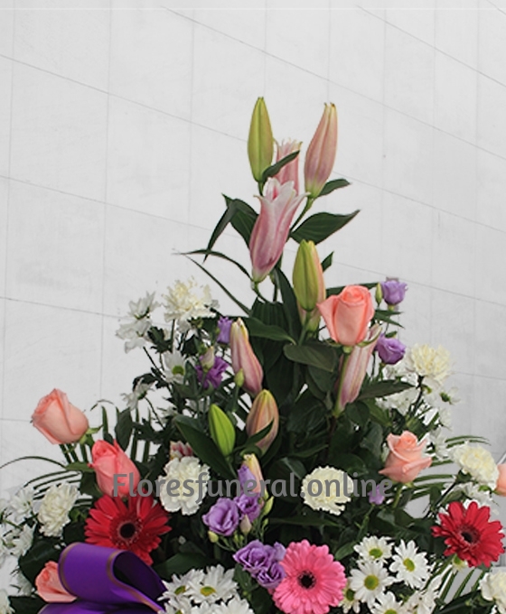 Alternative view of Centro Funerario Premium
