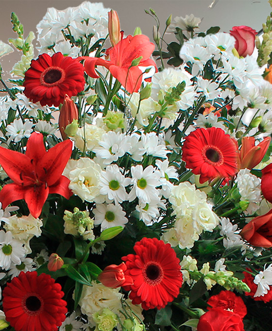 Alternative view of Corona Funeraria Roja y Blanca