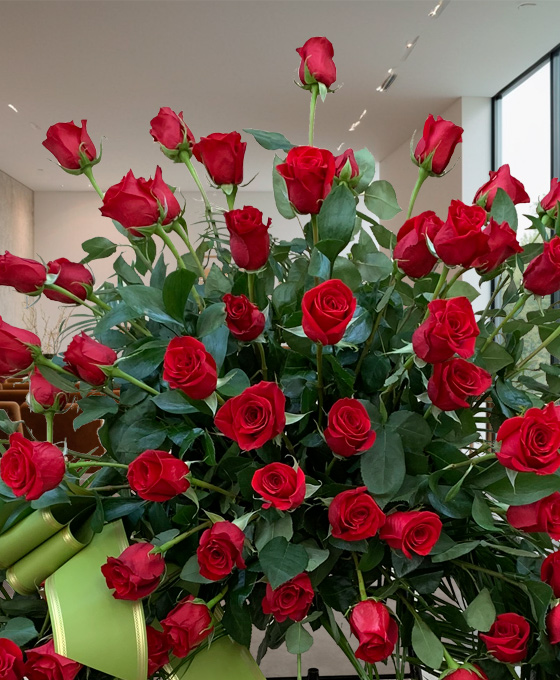 Alternative view of Corona Supreme Rosas Rojas