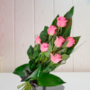 Rosa